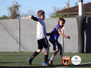 
<a style='margin-left: 5px;' class='btn btn-xs btn-social btn-facebook' href='https://www.facebook.com/sharer/sharer.php?u=https://boladovale.com.br/imgs/800-800-90/conteudo/fotos/1900/img3698.jpg' rel='popup' data-width='500' data-height='400'><i class='fa fa-facebook'></i>Compartilhar <span class='hidden-xs'>no Facebook</span>
</a> 
<a class='btn btn-default btn-xs' target='_blank' href='imgs/800-800-90/conteudo/fotos/1900/img3698.jpg'>
<span class='glyphicon glyphicon-cloud-download'></span> Salvar
</a> 
<span></span>