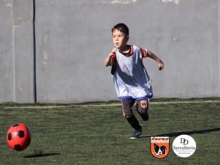 
<a style='margin-left: 5px;' class='btn btn-xs btn-social btn-facebook' href='https://www.facebook.com/sharer/sharer.php?u=https://boladovale.com.br/imgs/800-800-90/conteudo/fotos/1900/img3708.jpg' rel='popup' data-width='500' data-height='400'><i class='fa fa-facebook'></i>Compartilhar <span class='hidden-xs'>no Facebook</span>
</a> 
<a class='btn btn-default btn-xs' target='_blank' href='imgs/800-800-90/conteudo/fotos/1900/img3708.jpg'>
<span class='glyphicon glyphicon-cloud-download'></span> Salvar
</a> 
<span></span>