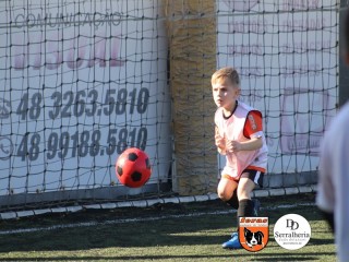 
<a style='margin-left: 5px;' class='btn btn-xs btn-social btn-facebook' href='https://www.facebook.com/sharer/sharer.php?u=https://boladovale.com.br/imgs/800-800-90/conteudo/fotos/1900/img3711.jpg' rel='popup' data-width='500' data-height='400'><i class='fa fa-facebook'></i>Compartilhar <span class='hidden-xs'>no Facebook</span>
</a> 
<a class='btn btn-default btn-xs' target='_blank' href='imgs/800-800-90/conteudo/fotos/1900/img3711.jpg'>
<span class='glyphicon glyphicon-cloud-download'></span> Salvar
</a> 
<span></span>