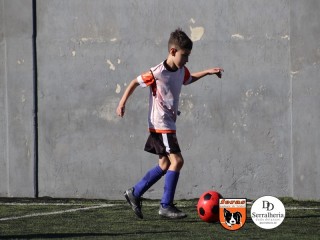 
<a style='margin-left: 5px;' class='btn btn-xs btn-social btn-facebook' href='https://www.facebook.com/sharer/sharer.php?u=https://boladovale.com.br/imgs/800-800-90/conteudo/fotos/1900/img3718.jpg' rel='popup' data-width='500' data-height='400'><i class='fa fa-facebook'></i>Compartilhar <span class='hidden-xs'>no Facebook</span>
</a> 
<a class='btn btn-default btn-xs' target='_blank' href='imgs/800-800-90/conteudo/fotos/1900/img3718.jpg'>
<span class='glyphicon glyphicon-cloud-download'></span> Salvar
</a> 
<span></span>
