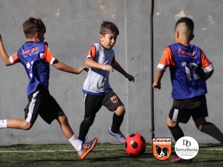 
<a style='margin-left: 5px;' class='btn btn-xs btn-social btn-facebook' href='https://www.facebook.com/sharer/sharer.php?u=https://boladovale.com.br/imgs/800-800-90/conteudo/fotos/1900/img3720.jpg' rel='popup' data-width='500' data-height='400'><i class='fa fa-facebook'></i>Compartilhar <span class='hidden-xs'>no Facebook</span>
</a> 
<a class='btn btn-default btn-xs' target='_blank' href='imgs/800-800-90/conteudo/fotos/1900/img3720.jpg'>
<span class='glyphicon glyphicon-cloud-download'></span> Salvar
</a> 
<span></span>