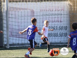 
<a style='margin-left: 5px;' class='btn btn-xs btn-social btn-facebook' href='https://www.facebook.com/sharer/sharer.php?u=https://boladovale.com.br/imgs/800-800-90/conteudo/fotos/1900/img3722.jpg' rel='popup' data-width='500' data-height='400'><i class='fa fa-facebook'></i>Compartilhar <span class='hidden-xs'>no Facebook</span>
</a> 
<a class='btn btn-default btn-xs' target='_blank' href='imgs/800-800-90/conteudo/fotos/1900/img3722.jpg'>
<span class='glyphicon glyphicon-cloud-download'></span> Salvar
</a> 
<span></span>