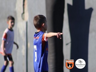 
<a style='margin-left: 5px;' class='btn btn-xs btn-social btn-facebook' href='https://www.facebook.com/sharer/sharer.php?u=https://boladovale.com.br/imgs/800-800-90/conteudo/fotos/1900/img3726.jpg' rel='popup' data-width='500' data-height='400'><i class='fa fa-facebook'></i>Compartilhar <span class='hidden-xs'>no Facebook</span>
</a> 
<a class='btn btn-default btn-xs' target='_blank' href='imgs/800-800-90/conteudo/fotos/1900/img3726.jpg'>
<span class='glyphicon glyphicon-cloud-download'></span> Salvar
</a> 
<span></span>