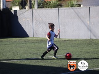 
<a style='margin-left: 5px;' class='btn btn-xs btn-social btn-facebook' href='https://www.facebook.com/sharer/sharer.php?u=https://boladovale.com.br/imgs/800-800-90/conteudo/fotos/1900/img3729.jpg' rel='popup' data-width='500' data-height='400'><i class='fa fa-facebook'></i>Compartilhar <span class='hidden-xs'>no Facebook</span>
</a> 
<a class='btn btn-default btn-xs' target='_blank' href='imgs/800-800-90/conteudo/fotos/1900/img3729.jpg'>
<span class='glyphicon glyphicon-cloud-download'></span> Salvar
</a> 
<span></span>