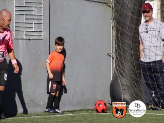 
<a style='margin-left: 5px;' class='btn btn-xs btn-social btn-facebook' href='https://www.facebook.com/sharer/sharer.php?u=https://boladovale.com.br/imgs/800-800-90/conteudo/fotos/1900/img3824.jpg' rel='popup' data-width='500' data-height='400'><i class='fa fa-facebook'></i>Compartilhar <span class='hidden-xs'>no Facebook</span>
</a> 
<a class='btn btn-default btn-xs' target='_blank' href='imgs/800-800-90/conteudo/fotos/1900/img3824.jpg'>
<span class='glyphicon glyphicon-cloud-download'></span> Salvar
</a> 
<span></span>