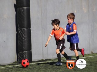 
<a style='margin-left: 5px;' class='btn btn-xs btn-social btn-facebook' href='https://www.facebook.com/sharer/sharer.php?u=https://boladovale.com.br/imgs/800-800-90/conteudo/fotos/1900/img3831.jpg' rel='popup' data-width='500' data-height='400'><i class='fa fa-facebook'></i>Compartilhar <span class='hidden-xs'>no Facebook</span>
</a> 
<a class='btn btn-default btn-xs' target='_blank' href='imgs/800-800-90/conteudo/fotos/1900/img3831.jpg'>
<span class='glyphicon glyphicon-cloud-download'></span> Salvar
</a> 
<span></span>