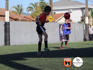 
<a style='margin-left: 5px;' class='btn btn-xs btn-social btn-facebook' href='https://www.facebook.com/sharer/sharer.php?u=https://boladovale.com.br/imgs/800-800-90/conteudo/fotos/1900/img3841.jpg' rel='popup' data-width='500' data-height='400'><i class='fa fa-facebook'></i>Compartilhar <span class='hidden-xs'>no Facebook</span>
</a> 
<a class='btn btn-default btn-xs' target='_blank' href='imgs/800-800-90/conteudo/fotos/1900/img3841.jpg'>
<span class='glyphicon glyphicon-cloud-download'></span> Salvar
</a> 
<span></span>