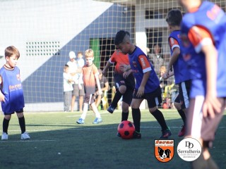 
<a style='margin-left: 5px;' class='btn btn-xs btn-social btn-facebook' href='https://www.facebook.com/sharer/sharer.php?u=https://boladovale.com.br/imgs/800-800-90/conteudo/fotos/1900/img3842.jpg' rel='popup' data-width='500' data-height='400'><i class='fa fa-facebook'></i>Compartilhar <span class='hidden-xs'>no Facebook</span>
</a> 
<a class='btn btn-default btn-xs' target='_blank' href='imgs/800-800-90/conteudo/fotos/1900/img3842.jpg'>
<span class='glyphicon glyphicon-cloud-download'></span> Salvar
</a> 
<span></span>