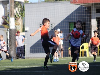 
<a style='margin-left: 5px;' class='btn btn-xs btn-social btn-facebook' href='https://www.facebook.com/sharer/sharer.php?u=https://boladovale.com.br/imgs/800-800-90/conteudo/fotos/1900/img3864.jpg' rel='popup' data-width='500' data-height='400'><i class='fa fa-facebook'></i>Compartilhar <span class='hidden-xs'>no Facebook</span>
</a> 
<a class='btn btn-default btn-xs' target='_blank' href='imgs/800-800-90/conteudo/fotos/1900/img3864.jpg'>
<span class='glyphicon glyphicon-cloud-download'></span> Salvar
</a> 
<span></span>