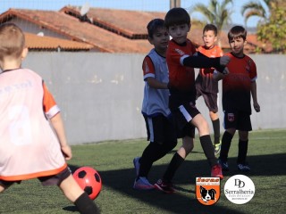 
<a style='margin-left: 5px;' class='btn btn-xs btn-social btn-facebook' href='https://www.facebook.com/sharer/sharer.php?u=https://boladovale.com.br/imgs/800-800-90/conteudo/fotos/1900/img3866.jpg' rel='popup' data-width='500' data-height='400'><i class='fa fa-facebook'></i>Compartilhar <span class='hidden-xs'>no Facebook</span>
</a> 
<a class='btn btn-default btn-xs' target='_blank' href='imgs/800-800-90/conteudo/fotos/1900/img3866.jpg'>
<span class='glyphicon glyphicon-cloud-download'></span> Salvar
</a> 
<span></span>