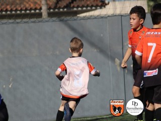 
<a style='margin-left: 5px;' class='btn btn-xs btn-social btn-facebook' href='https://www.facebook.com/sharer/sharer.php?u=https://boladovale.com.br/imgs/800-800-90/conteudo/fotos/1900/img3868.jpg' rel='popup' data-width='500' data-height='400'><i class='fa fa-facebook'></i>Compartilhar <span class='hidden-xs'>no Facebook</span>
</a> 
<a class='btn btn-default btn-xs' target='_blank' href='imgs/800-800-90/conteudo/fotos/1900/img3868.jpg'>
<span class='glyphicon glyphicon-cloud-download'></span> Salvar
</a> 
<span></span>