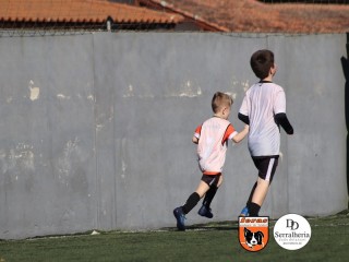 
<a style='margin-left: 5px;' class='btn btn-xs btn-social btn-facebook' href='https://www.facebook.com/sharer/sharer.php?u=https://boladovale.com.br/imgs/800-800-90/conteudo/fotos/1900/img3872.jpg' rel='popup' data-width='500' data-height='400'><i class='fa fa-facebook'></i>Compartilhar <span class='hidden-xs'>no Facebook</span>
</a> 
<a class='btn btn-default btn-xs' target='_blank' href='imgs/800-800-90/conteudo/fotos/1900/img3872.jpg'>
<span class='glyphicon glyphicon-cloud-download'></span> Salvar
</a> 
<span></span>