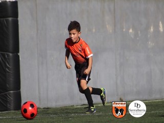
<a style='margin-left: 5px;' class='btn btn-xs btn-social btn-facebook' href='https://www.facebook.com/sharer/sharer.php?u=https://boladovale.com.br/imgs/800-800-90/conteudo/fotos/1900/img3873.jpg' rel='popup' data-width='500' data-height='400'><i class='fa fa-facebook'></i>Compartilhar <span class='hidden-xs'>no Facebook</span>
</a> 
<a class='btn btn-default btn-xs' target='_blank' href='imgs/800-800-90/conteudo/fotos/1900/img3873.jpg'>
<span class='glyphicon glyphicon-cloud-download'></span> Salvar
</a> 
<span></span>