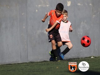 
<a style='margin-left: 5px;' class='btn btn-xs btn-social btn-facebook' href='https://www.facebook.com/sharer/sharer.php?u=https://boladovale.com.br/imgs/800-800-90/conteudo/fotos/1900/img3874.jpg' rel='popup' data-width='500' data-height='400'><i class='fa fa-facebook'></i>Compartilhar <span class='hidden-xs'>no Facebook</span>
</a> 
<a class='btn btn-default btn-xs' target='_blank' href='imgs/800-800-90/conteudo/fotos/1900/img3874.jpg'>
<span class='glyphicon glyphicon-cloud-download'></span> Salvar
</a> 
<span></span>