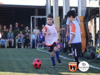 
<a style='margin-left: 5px;' class='btn btn-xs btn-social btn-facebook' href='https://www.facebook.com/sharer/sharer.php?u=https://boladovale.com.br/imgs/800-800-90/conteudo/fotos/1900/img3877.jpg' rel='popup' data-width='500' data-height='400'><i class='fa fa-facebook'></i>Compartilhar <span class='hidden-xs'>no Facebook</span>
</a> 
<a class='btn btn-default btn-xs' target='_blank' href='imgs/800-800-90/conteudo/fotos/1900/img3877.jpg'>
<span class='glyphicon glyphicon-cloud-download'></span> Salvar
</a> 
<span></span>