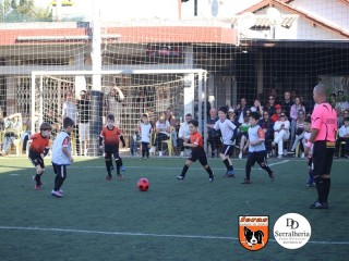
<a style='margin-left: 5px;' class='btn btn-xs btn-social btn-facebook' href='https://www.facebook.com/sharer/sharer.php?u=https://boladovale.com.br/imgs/800-800-90/conteudo/fotos/1900/img3878.jpg' rel='popup' data-width='500' data-height='400'><i class='fa fa-facebook'></i>Compartilhar <span class='hidden-xs'>no Facebook</span>
</a> 
<a class='btn btn-default btn-xs' target='_blank' href='imgs/800-800-90/conteudo/fotos/1900/img3878.jpg'>
<span class='glyphicon glyphicon-cloud-download'></span> Salvar
</a> 
<span></span>