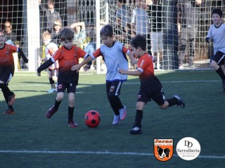 
<a style='margin-left: 5px;' class='btn btn-xs btn-social btn-facebook' href='https://www.facebook.com/sharer/sharer.php?u=https://boladovale.com.br/imgs/800-800-90/conteudo/fotos/1900/img3880.jpg' rel='popup' data-width='500' data-height='400'><i class='fa fa-facebook'></i>Compartilhar <span class='hidden-xs'>no Facebook</span>
</a> 
<a class='btn btn-default btn-xs' target='_blank' href='imgs/800-800-90/conteudo/fotos/1900/img3880.jpg'>
<span class='glyphicon glyphicon-cloud-download'></span> Salvar
</a> 
<span></span>