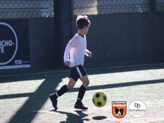 
<a style='margin-left: 5px;' class='btn btn-xs btn-social btn-facebook' href='https://www.facebook.com/sharer/sharer.php?u=https://boladovale.com.br/imgs/800-800-90/conteudo/fotos/1900/img3897.jpg' rel='popup' data-width='500' data-height='400'><i class='fa fa-facebook'></i>Compartilhar <span class='hidden-xs'>no Facebook</span>
</a> 
<a class='btn btn-default btn-xs' target='_blank' href='imgs/800-800-90/conteudo/fotos/1900/img3897.jpg'>
<span class='glyphicon glyphicon-cloud-download'></span> Salvar
</a> 
<span></span>