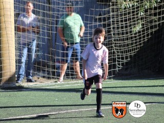 
<a style='margin-left: 5px;' class='btn btn-xs btn-social btn-facebook' href='https://www.facebook.com/sharer/sharer.php?u=https://boladovale.com.br/imgs/800-800-90/conteudo/fotos/1900/img3901.jpg' rel='popup' data-width='500' data-height='400'><i class='fa fa-facebook'></i>Compartilhar <span class='hidden-xs'>no Facebook</span>
</a> 
<a class='btn btn-default btn-xs' target='_blank' href='imgs/800-800-90/conteudo/fotos/1900/img3901.jpg'>
<span class='glyphicon glyphicon-cloud-download'></span> Salvar
</a> 
<span></span>