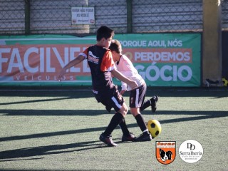 
<a style='margin-left: 5px;' class='btn btn-xs btn-social btn-facebook' href='https://www.facebook.com/sharer/sharer.php?u=https://boladovale.com.br/imgs/800-800-90/conteudo/fotos/1900/img3910.jpg' rel='popup' data-width='500' data-height='400'><i class='fa fa-facebook'></i>Compartilhar <span class='hidden-xs'>no Facebook</span>
</a> 
<a class='btn btn-default btn-xs' target='_blank' href='imgs/800-800-90/conteudo/fotos/1900/img3910.jpg'>
<span class='glyphicon glyphicon-cloud-download'></span> Salvar
</a> 
<span></span>