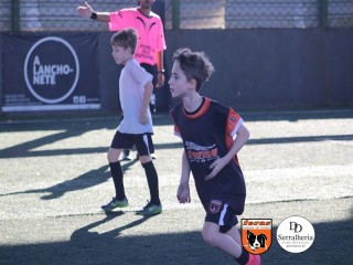 
<a style='margin-left: 5px;' class='btn btn-xs btn-social btn-facebook' href='https://www.facebook.com/sharer/sharer.php?u=https://boladovale.com.br/imgs/800-800-90/conteudo/fotos/1900/img3914.jpg' rel='popup' data-width='500' data-height='400'><i class='fa fa-facebook'></i>Compartilhar <span class='hidden-xs'>no Facebook</span>
</a> 
<a class='btn btn-default btn-xs' target='_blank' href='imgs/800-800-90/conteudo/fotos/1900/img3914.jpg'>
<span class='glyphicon glyphicon-cloud-download'></span> Salvar
</a> 
<span></span>