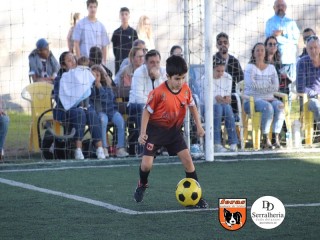 
<a style='margin-left: 5px;' class='btn btn-xs btn-social btn-facebook' href='https://www.facebook.com/sharer/sharer.php?u=https://boladovale.com.br/imgs/800-800-90/conteudo/fotos/1900/img3933.jpg' rel='popup' data-width='500' data-height='400'><i class='fa fa-facebook'></i>Compartilhar <span class='hidden-xs'>no Facebook</span>
</a> 
<a class='btn btn-default btn-xs' target='_blank' href='imgs/800-800-90/conteudo/fotos/1900/img3933.jpg'>
<span class='glyphicon glyphicon-cloud-download'></span> Salvar
</a> 
<span></span>