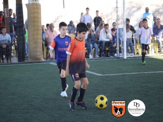 
<a style='margin-left: 5px;' class='btn btn-xs btn-social btn-facebook' href='https://www.facebook.com/sharer/sharer.php?u=https://boladovale.com.br/imgs/800-800-90/conteudo/fotos/1900/img3934.jpg' rel='popup' data-width='500' data-height='400'><i class='fa fa-facebook'></i>Compartilhar <span class='hidden-xs'>no Facebook</span>
</a> 
<a class='btn btn-default btn-xs' target='_blank' href='imgs/800-800-90/conteudo/fotos/1900/img3934.jpg'>
<span class='glyphicon glyphicon-cloud-download'></span> Salvar
</a> 
<span></span>