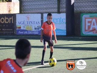 
<a style='margin-left: 5px;' class='btn btn-xs btn-social btn-facebook' href='https://www.facebook.com/sharer/sharer.php?u=https://boladovale.com.br/imgs/800-800-90/conteudo/fotos/1900/img3936.jpg' rel='popup' data-width='500' data-height='400'><i class='fa fa-facebook'></i>Compartilhar <span class='hidden-xs'>no Facebook</span>
</a> 
<a class='btn btn-default btn-xs' target='_blank' href='imgs/800-800-90/conteudo/fotos/1900/img3936.jpg'>
<span class='glyphicon glyphicon-cloud-download'></span> Salvar
</a> 
<span></span>