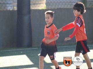
<a style='margin-left: 5px;' class='btn btn-xs btn-social btn-facebook' href='https://www.facebook.com/sharer/sharer.php?u=https://boladovale.com.br/imgs/800-800-90/conteudo/fotos/1900/img3950.jpg' rel='popup' data-width='500' data-height='400'><i class='fa fa-facebook'></i>Compartilhar <span class='hidden-xs'>no Facebook</span>
</a> 
<a class='btn btn-default btn-xs' target='_blank' href='imgs/800-800-90/conteudo/fotos/1900/img3950.jpg'>
<span class='glyphicon glyphicon-cloud-download'></span> Salvar
</a> 
<span></span>