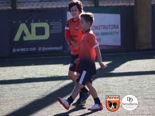 
<a style='margin-left: 5px;' class='btn btn-xs btn-social btn-facebook' href='https://www.facebook.com/sharer/sharer.php?u=https://boladovale.com.br/imgs/800-800-90/conteudo/fotos/1900/img3952.jpg' rel='popup' data-width='500' data-height='400'><i class='fa fa-facebook'></i>Compartilhar <span class='hidden-xs'>no Facebook</span>
</a> 
<a class='btn btn-default btn-xs' target='_blank' href='imgs/800-800-90/conteudo/fotos/1900/img3952.jpg'>
<span class='glyphicon glyphicon-cloud-download'></span> Salvar
</a> 
<span></span>