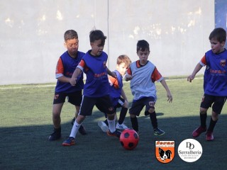 
<a style='margin-left: 5px;' class='btn btn-xs btn-social btn-facebook' href='https://www.facebook.com/sharer/sharer.php?u=https://boladovale.com.br/imgs/800-800-90/conteudo/fotos/1900/img3954.jpg' rel='popup' data-width='500' data-height='400'><i class='fa fa-facebook'></i>Compartilhar <span class='hidden-xs'>no Facebook</span>
</a> 
<a class='btn btn-default btn-xs' target='_blank' href='imgs/800-800-90/conteudo/fotos/1900/img3954.jpg'>
<span class='glyphicon glyphicon-cloud-download'></span> Salvar
</a> 
<span></span>