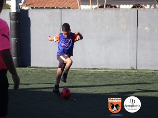 
<a style='margin-left: 5px;' class='btn btn-xs btn-social btn-facebook' href='https://www.facebook.com/sharer/sharer.php?u=https://boladovale.com.br/imgs/800-800-90/conteudo/fotos/1900/img3956.jpg' rel='popup' data-width='500' data-height='400'><i class='fa fa-facebook'></i>Compartilhar <span class='hidden-xs'>no Facebook</span>
</a> 
<a class='btn btn-default btn-xs' target='_blank' href='imgs/800-800-90/conteudo/fotos/1900/img3956.jpg'>
<span class='glyphicon glyphicon-cloud-download'></span> Salvar
</a> 
<span></span>