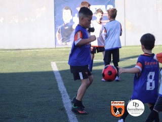 
<a style='margin-left: 5px;' class='btn btn-xs btn-social btn-facebook' href='https://www.facebook.com/sharer/sharer.php?u=https://boladovale.com.br/imgs/800-800-90/conteudo/fotos/1900/img3959.jpg' rel='popup' data-width='500' data-height='400'><i class='fa fa-facebook'></i>Compartilhar <span class='hidden-xs'>no Facebook</span>
</a> 
<a class='btn btn-default btn-xs' target='_blank' href='imgs/800-800-90/conteudo/fotos/1900/img3959.jpg'>
<span class='glyphicon glyphicon-cloud-download'></span> Salvar
</a> 
<span></span>