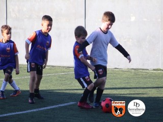 
<a style='margin-left: 5px;' class='btn btn-xs btn-social btn-facebook' href='https://www.facebook.com/sharer/sharer.php?u=https://boladovale.com.br/imgs/800-800-90/conteudo/fotos/1900/img3962.jpg' rel='popup' data-width='500' data-height='400'><i class='fa fa-facebook'></i>Compartilhar <span class='hidden-xs'>no Facebook</span>
</a> 
<a class='btn btn-default btn-xs' target='_blank' href='imgs/800-800-90/conteudo/fotos/1900/img3962.jpg'>
<span class='glyphicon glyphicon-cloud-download'></span> Salvar
</a> 
<span></span>