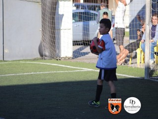 
<a style='margin-left: 5px;' class='btn btn-xs btn-social btn-facebook' href='https://www.facebook.com/sharer/sharer.php?u=https://boladovale.com.br/imgs/800-800-90/conteudo/fotos/1900/img3964.jpg' rel='popup' data-width='500' data-height='400'><i class='fa fa-facebook'></i>Compartilhar <span class='hidden-xs'>no Facebook</span>
</a> 
<a class='btn btn-default btn-xs' target='_blank' href='imgs/800-800-90/conteudo/fotos/1900/img3964.jpg'>
<span class='glyphicon glyphicon-cloud-download'></span> Salvar
</a> 
<span></span>