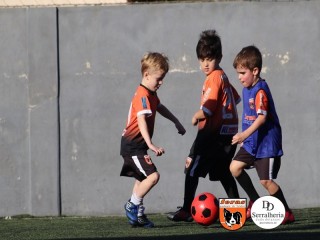 
<a style='margin-left: 5px;' class='btn btn-xs btn-social btn-facebook' href='https://www.facebook.com/sharer/sharer.php?u=https://boladovale.com.br/imgs/800-800-90/conteudo/fotos/1900/img3971.jpg' rel='popup' data-width='500' data-height='400'><i class='fa fa-facebook'></i>Compartilhar <span class='hidden-xs'>no Facebook</span>
</a> 
<a class='btn btn-default btn-xs' target='_blank' href='imgs/800-800-90/conteudo/fotos/1900/img3971.jpg'>
<span class='glyphicon glyphicon-cloud-download'></span> Salvar
</a> 
<span></span>