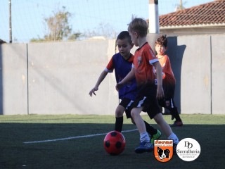 
<a style='margin-left: 5px;' class='btn btn-xs btn-social btn-facebook' href='https://www.facebook.com/sharer/sharer.php?u=https://boladovale.com.br/imgs/800-800-90/conteudo/fotos/1900/img3972.jpg' rel='popup' data-width='500' data-height='400'><i class='fa fa-facebook'></i>Compartilhar <span class='hidden-xs'>no Facebook</span>
</a> 
<a class='btn btn-default btn-xs' target='_blank' href='imgs/800-800-90/conteudo/fotos/1900/img3972.jpg'>
<span class='glyphicon glyphicon-cloud-download'></span> Salvar
</a> 
<span></span>