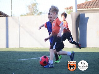 
<a style='margin-left: 5px;' class='btn btn-xs btn-social btn-facebook' href='https://www.facebook.com/sharer/sharer.php?u=https://boladovale.com.br/imgs/800-800-90/conteudo/fotos/1900/img3973.jpg' rel='popup' data-width='500' data-height='400'><i class='fa fa-facebook'></i>Compartilhar <span class='hidden-xs'>no Facebook</span>
</a> 
<a class='btn btn-default btn-xs' target='_blank' href='imgs/800-800-90/conteudo/fotos/1900/img3973.jpg'>
<span class='glyphicon glyphicon-cloud-download'></span> Salvar
</a> 
<span></span>