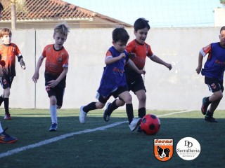 
<a style='margin-left: 5px;' class='btn btn-xs btn-social btn-facebook' href='https://www.facebook.com/sharer/sharer.php?u=https://boladovale.com.br/imgs/800-800-90/conteudo/fotos/1900/img3979.jpg' rel='popup' data-width='500' data-height='400'><i class='fa fa-facebook'></i>Compartilhar <span class='hidden-xs'>no Facebook</span>
</a> 
<a class='btn btn-default btn-xs' target='_blank' href='imgs/800-800-90/conteudo/fotos/1900/img3979.jpg'>
<span class='glyphicon glyphicon-cloud-download'></span> Salvar
</a> 
<span></span>