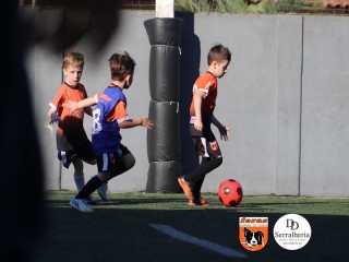 
<a style='margin-left: 5px;' class='btn btn-xs btn-social btn-facebook' href='https://www.facebook.com/sharer/sharer.php?u=https://boladovale.com.br/imgs/800-800-90/conteudo/fotos/1900/img3981.jpg' rel='popup' data-width='500' data-height='400'><i class='fa fa-facebook'></i>Compartilhar <span class='hidden-xs'>no Facebook</span>
</a> 
<a class='btn btn-default btn-xs' target='_blank' href='imgs/800-800-90/conteudo/fotos/1900/img3981.jpg'>
<span class='glyphicon glyphicon-cloud-download'></span> Salvar
</a> 
<span></span>