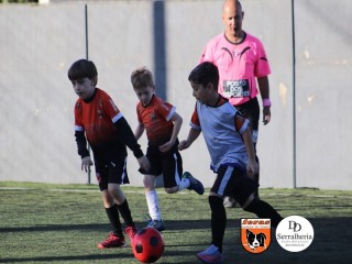
<a style='margin-left: 5px;' class='btn btn-xs btn-social btn-facebook' href='https://www.facebook.com/sharer/sharer.php?u=https://boladovale.com.br/imgs/800-800-90/conteudo/fotos/1900/img4022.jpg' rel='popup' data-width='500' data-height='400'><i class='fa fa-facebook'></i>Compartilhar <span class='hidden-xs'>no Facebook</span>
</a> 
<a class='btn btn-default btn-xs' target='_blank' href='imgs/800-800-90/conteudo/fotos/1900/img4022.jpg'>
<span class='glyphicon glyphicon-cloud-download'></span> Salvar
</a> 
<span></span>