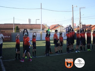 
<a style='margin-left: 5px;' class='btn btn-xs btn-social btn-facebook' href='https://www.facebook.com/sharer/sharer.php?u=https://boladovale.com.br/imgs/800-800-90/conteudo/fotos/1900/img4054.jpg' rel='popup' data-width='500' data-height='400'><i class='fa fa-facebook'></i>Compartilhar <span class='hidden-xs'>no Facebook</span>
</a> 
<a class='btn btn-default btn-xs' target='_blank' href='imgs/800-800-90/conteudo/fotos/1900/img4054.jpg'>
<span class='glyphicon glyphicon-cloud-download'></span> Salvar
</a> 
<span></span>