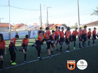
<a style='margin-left: 5px;' class='btn btn-xs btn-social btn-facebook' href='https://www.facebook.com/sharer/sharer.php?u=https://boladovale.com.br/imgs/800-800-90/conteudo/fotos/1900/img4059.jpg' rel='popup' data-width='500' data-height='400'><i class='fa fa-facebook'></i>Compartilhar <span class='hidden-xs'>no Facebook</span>
</a> 
<a class='btn btn-default btn-xs' target='_blank' href='imgs/800-800-90/conteudo/fotos/1900/img4059.jpg'>
<span class='glyphicon glyphicon-cloud-download'></span> Salvar
</a> 
<span></span>
