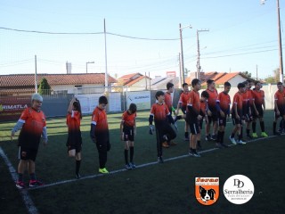 
<a style='margin-left: 5px;' class='btn btn-xs btn-social btn-facebook' href='https://www.facebook.com/sharer/sharer.php?u=https://boladovale.com.br/imgs/800-800-90/conteudo/fotos/1900/img4060.jpg' rel='popup' data-width='500' data-height='400'><i class='fa fa-facebook'></i>Compartilhar <span class='hidden-xs'>no Facebook</span>
</a> 
<a class='btn btn-default btn-xs' target='_blank' href='imgs/800-800-90/conteudo/fotos/1900/img4060.jpg'>
<span class='glyphicon glyphicon-cloud-download'></span> Salvar
</a> 
<span></span>