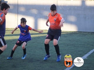 
<a style='margin-left: 5px;' class='btn btn-xs btn-social btn-facebook' href='https://www.facebook.com/sharer/sharer.php?u=https://boladovale.com.br/imgs/800-800-90/conteudo/fotos/1900/img4081.jpg' rel='popup' data-width='500' data-height='400'><i class='fa fa-facebook'></i>Compartilhar <span class='hidden-xs'>no Facebook</span>
</a> 
<a class='btn btn-default btn-xs' target='_blank' href='imgs/800-800-90/conteudo/fotos/1900/img4081.jpg'>
<span class='glyphicon glyphicon-cloud-download'></span> Salvar
</a> 
<span></span>