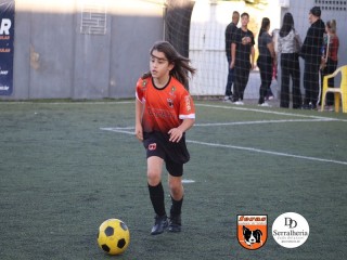 
<a style='margin-left: 5px;' class='btn btn-xs btn-social btn-facebook' href='https://www.facebook.com/sharer/sharer.php?u=https://boladovale.com.br/imgs/800-800-90/conteudo/fotos/1900/img4086.jpg' rel='popup' data-width='500' data-height='400'><i class='fa fa-facebook'></i>Compartilhar <span class='hidden-xs'>no Facebook</span>
</a> 
<a class='btn btn-default btn-xs' target='_blank' href='imgs/800-800-90/conteudo/fotos/1900/img4086.jpg'>
<span class='glyphicon glyphicon-cloud-download'></span> Salvar
</a> 
<span></span>