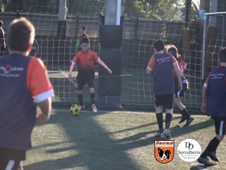
<a style='margin-left: 5px;' class='btn btn-xs btn-social btn-facebook' href='https://www.facebook.com/sharer/sharer.php?u=https://boladovale.com.br/imgs/800-800-90/conteudo/fotos/1900/img4100.jpg' rel='popup' data-width='500' data-height='400'><i class='fa fa-facebook'></i>Compartilhar <span class='hidden-xs'>no Facebook</span>
</a> 
<a class='btn btn-default btn-xs' target='_blank' href='imgs/800-800-90/conteudo/fotos/1900/img4100.jpg'>
<span class='glyphicon glyphicon-cloud-download'></span> Salvar
</a> 
<span></span>