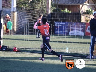 
<a style='margin-left: 5px;' class='btn btn-xs btn-social btn-facebook' href='https://www.facebook.com/sharer/sharer.php?u=https://boladovale.com.br/imgs/800-800-90/conteudo/fotos/1900/img4107.jpg' rel='popup' data-width='500' data-height='400'><i class='fa fa-facebook'></i>Compartilhar <span class='hidden-xs'>no Facebook</span>
</a> 
<a class='btn btn-default btn-xs' target='_blank' href='imgs/800-800-90/conteudo/fotos/1900/img4107.jpg'>
<span class='glyphicon glyphicon-cloud-download'></span> Salvar
</a> 
<span></span>
