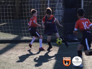 
<a style='margin-left: 5px;' class='btn btn-xs btn-social btn-facebook' href='https://www.facebook.com/sharer/sharer.php?u=https://boladovale.com.br/imgs/800-800-90/conteudo/fotos/1900/img4131.jpg' rel='popup' data-width='500' data-height='400'><i class='fa fa-facebook'></i>Compartilhar <span class='hidden-xs'>no Facebook</span>
</a> 
<a class='btn btn-default btn-xs' target='_blank' href='imgs/800-800-90/conteudo/fotos/1900/img4131.jpg'>
<span class='glyphicon glyphicon-cloud-download'></span> Salvar
</a> 
<span></span>