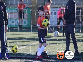 
<a style='margin-left: 5px;' class='btn btn-xs btn-social btn-facebook' href='https://www.facebook.com/sharer/sharer.php?u=https://boladovale.com.br/imgs/800-800-90/conteudo/fotos/1900/img4138.jpg' rel='popup' data-width='500' data-height='400'><i class='fa fa-facebook'></i>Compartilhar <span class='hidden-xs'>no Facebook</span>
</a> 
<a class='btn btn-default btn-xs' target='_blank' href='imgs/800-800-90/conteudo/fotos/1900/img4138.jpg'>
<span class='glyphicon glyphicon-cloud-download'></span> Salvar
</a> 
<span></span>
